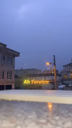 Yeni şablon