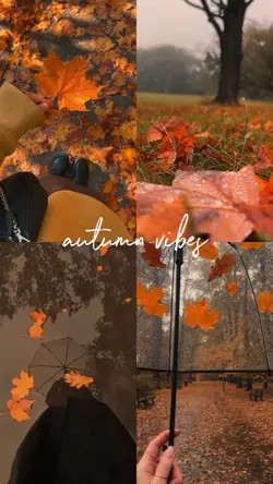 autumn | grid