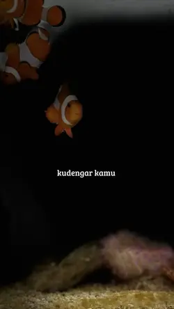 Bernadya kini mereka