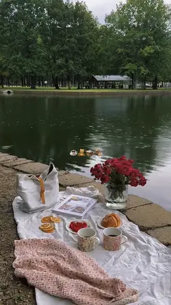 picnic🧺