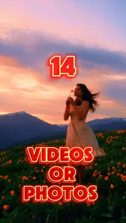 14 videos or photos 