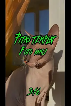 Lupa tajuk dia 