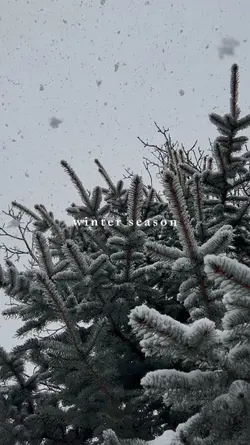 winter season