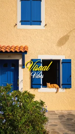 visual vibes