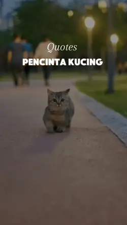 Pencinta kucing