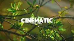 CINEMATIC