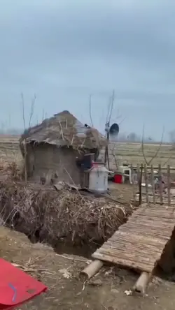 Funny Transition 