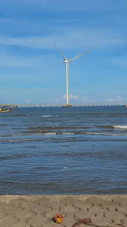 MẪU 1 VIDEO + MÀU