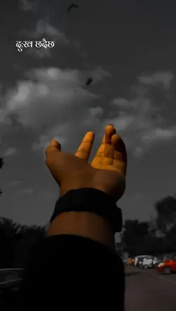 nepali sad line