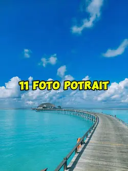 11 foto potrait