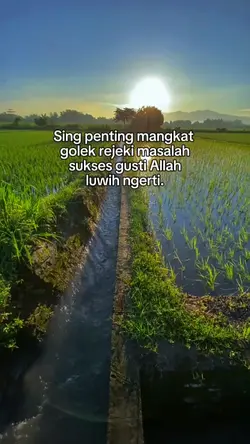 bahan sw