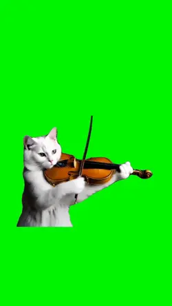 Sad Cat Plays Violin