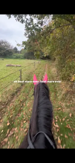 best mare ever 🫶🏻