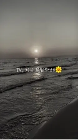 Tu, solo ignora 🌼