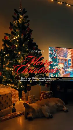 Merry Christmas 