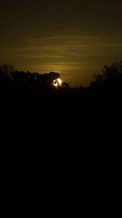 la luna 