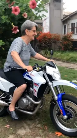 motocross 