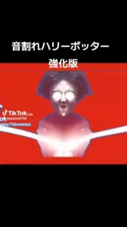 音割れハリーポッター強化版