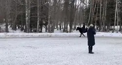 Älskar 🥰 