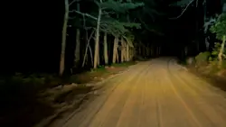 Road