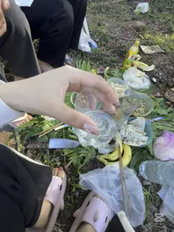 ธรรมชาติ🌿❄️☘️