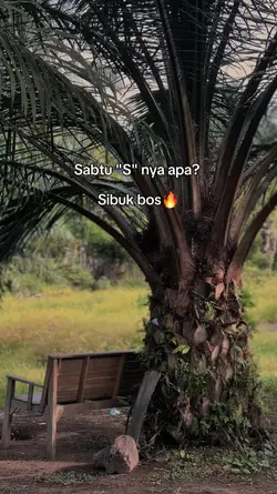 Sabtu sibuk bos