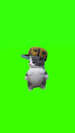 cat dancing meme