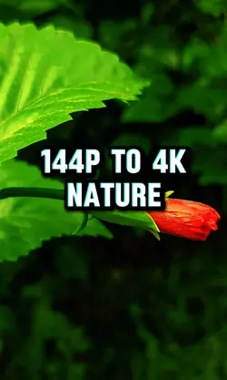 144p T0 4k Nature