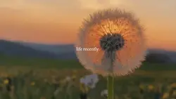 Landscape mini vlog