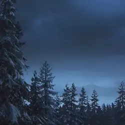 Last of us edit