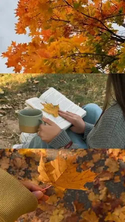 3 grid video