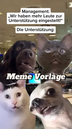 ARBEITSKOLLEGEN meme