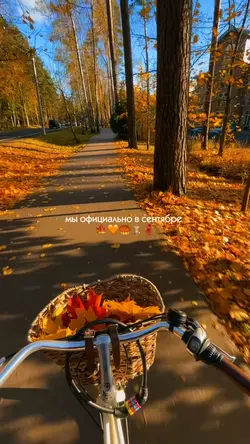 Мы в сентябре