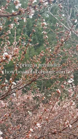 Spring is here 
