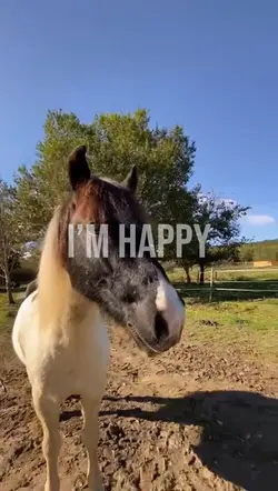 I’m happy