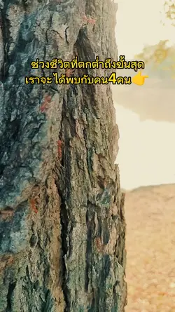 สตอรี่