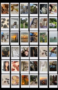 36 photo