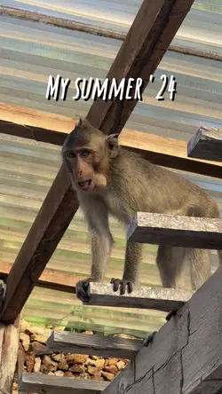 my summer '24 🥹🌴