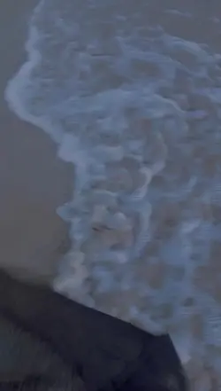 Mari ci tu jehri ala