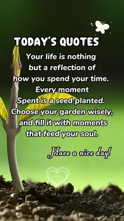Today's quotes 
