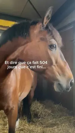C’est fini