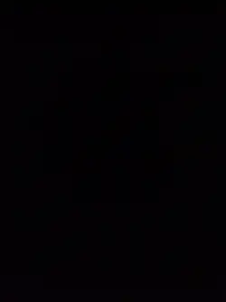 sus video