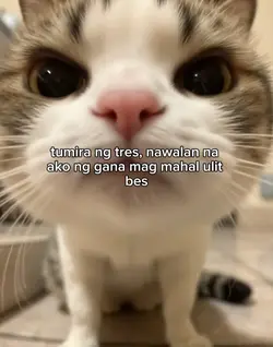 tumira ng tres 