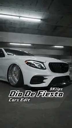 Dia De Fiesta