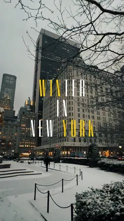 Winter In New York