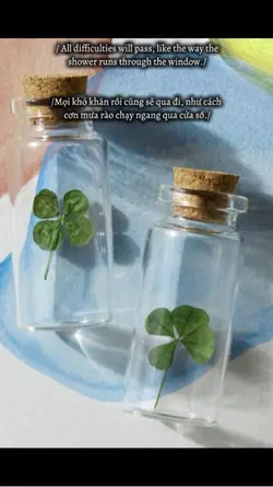 Cỏ 4 lá