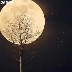 Full Moon