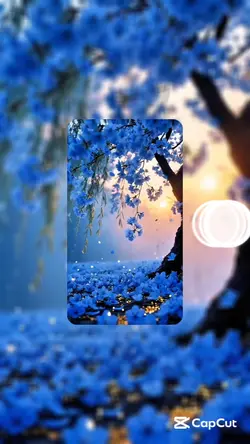 Pro Animations
