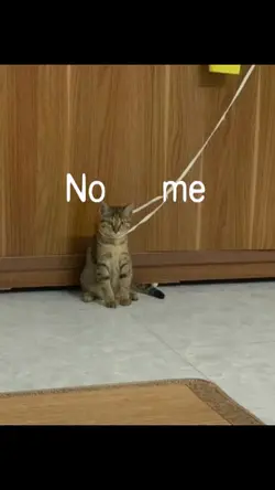 no me mires 