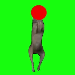 Wolf dance